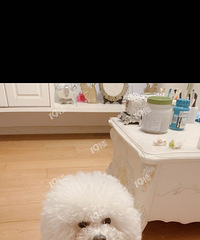 ��û�غ� ��ɫ�����ܳ�ȥ�ˣ����Ұ������� ��л2000��