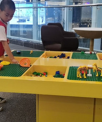 ���Ӳ���ȥ��ѧզ�죿��Ըһ�����ڼҸ�è����߸���ȥ��λ�ϰ�