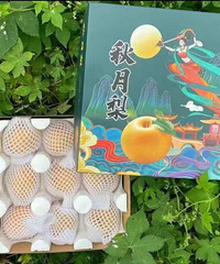 �����˵�����������嵥 �ӵ���������ʵ����