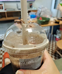 ���ҿ������淢������ ���ﲹ����10��ȯ��