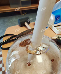 ���ҿ������淢������ ���ﲹ����10��ȯ��