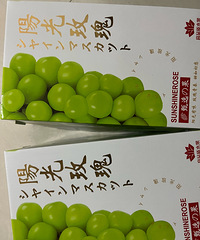 ���ɹ��Ÿ��Ҽҵ�����С����