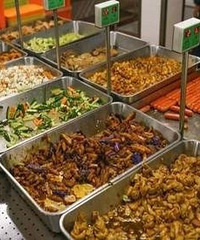 ���˽ⷶ����ѧ���������ʳ�͹�����ʦʲô����ô��