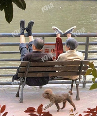 ���飺���ֺ�Ӧ��Ӧ�ü�����ǰŮ�ѷ�������ֻ���Ǯ��