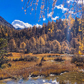 ��������Ͷ���