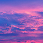 ����ϵĻ�����