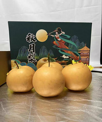 �������������ǲ�����ѡ�� �����Լ��Բ�̫���㣡