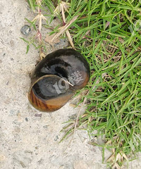 ����亲���ݸ������ִ��������ݣ�����������̫�����ˡ���