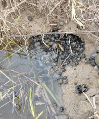 ����亲���ݸ������ִ��������ݣ�����������̫�����ˡ���