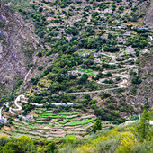 �Ĺ���ɽ����