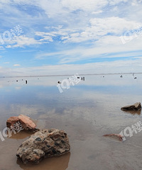 ̨�����ļ��˹ۺ�԰������������� ����һɫ��