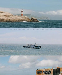 �ﶬ�������� �»���ޱ�ȥ��8���ط� �ǵ��ղ�Ŷ