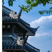 ����40�ȸ���ɨ��