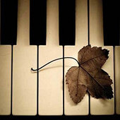 ���Ƽ�������ʦ