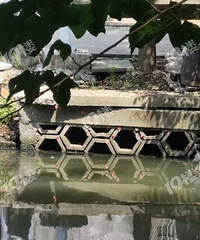 ���裡������Щ������������ ���ܵ�����Ⱦ����