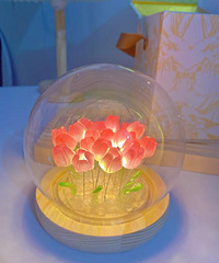 ��ɹ������+��ױ��