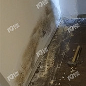 ����©ˮ�����ģ�