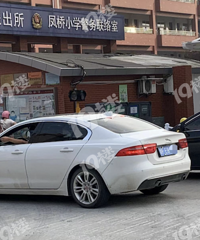 ����Сѧ�ſڴ�Ҷ������������£�Ψ�������ϰ����� ����������!