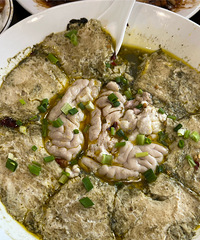 �����������ԣ����������