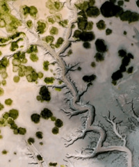 Ǯ�����˳����ֳ����֡�һ���������������ˣ�