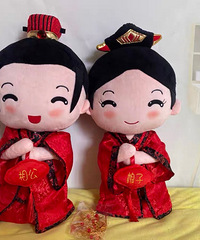 ��ɹ������+����������