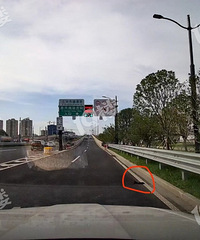 �ڹ���·����·���ַ���Сèʬ�壡�����µ��Ĵ��ˡ�