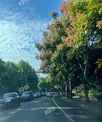 ��Ȫ·�ϵ�����������