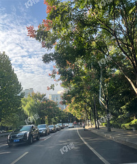 ��Ȫ·�ϵ�����������