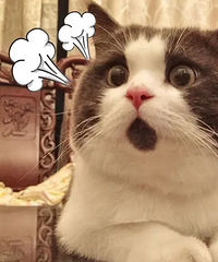 46��Ĵ���ʣŮ����Լ������������յĺ��� ������