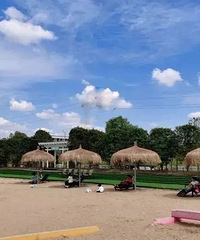 ��ʮһ��С����ȥ�Ķ��棿���޳������ȥ���뿴���