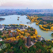 �����Ǹ�ʲô���ĳ���