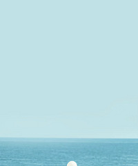 ������MINI EV��������� ����۸��������ô����