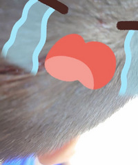 ����һ��Ҫװ���໤�����������ڳ���ϴ�� ���ӵ�ͷ�ĵ��輸����