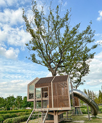 ����ȥ�Ķ��棿С���㡢¶���Ӱ���л��м�...��������