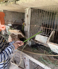 �����ڵĺ��ӳԵ�̫����������ʱ�����кö�С���ӽӽ�����