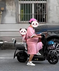 ���ӲŰ����ֻ���̥ û�˰�æ������ �и������ϴ���綯������