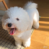 һգ�� ������