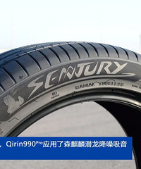 ��ɭ������̥ר����