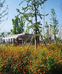 ���ͳ����������� ����ʵ����̫���� ���������г�