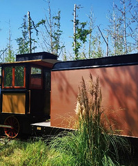 ���ͳ����������� ����ʵ����̫���� ���������г�