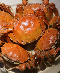 ����ʡǮլ�ҳԴ�բз�ɣ�����ζ�������� �ֲ������˵�С����