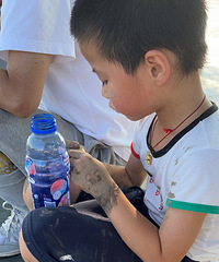 ÿ�ηżٶ��÷��Խ�ȥ������ ȥ����ɽץ�зֻץ����2ֻ