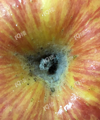 ����ô���մ�������ùƻ�����Һô򿪿����£�ûֱ�����ˡ�