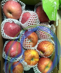 ����ô���մ�������ùƻ�����Һô򿪿����£�ûֱ�����ˡ�