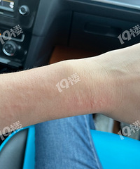 ����19¥���� һ���˺��� �᲻�������ӣ�