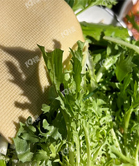 ʵ�ı��ף����ֳ���������ȥ���������� ��һ��ǲ�Ҫȥ�ˣ�