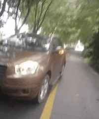 ����һ����·���������š�˫������˾��ȴ������Ӱ����