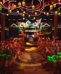 ��ʽ����yyds Բ���ҷ��ϼ��ʮ���ױ����