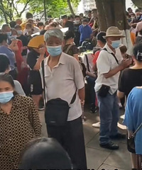 ���˴��Ź�԰Ҳ���Լ������׽���