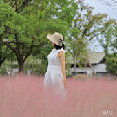 һ��һ�Ȼ�����